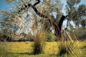 Menuisier Grasse